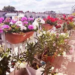 Top Floor Apartment & Terrace With View