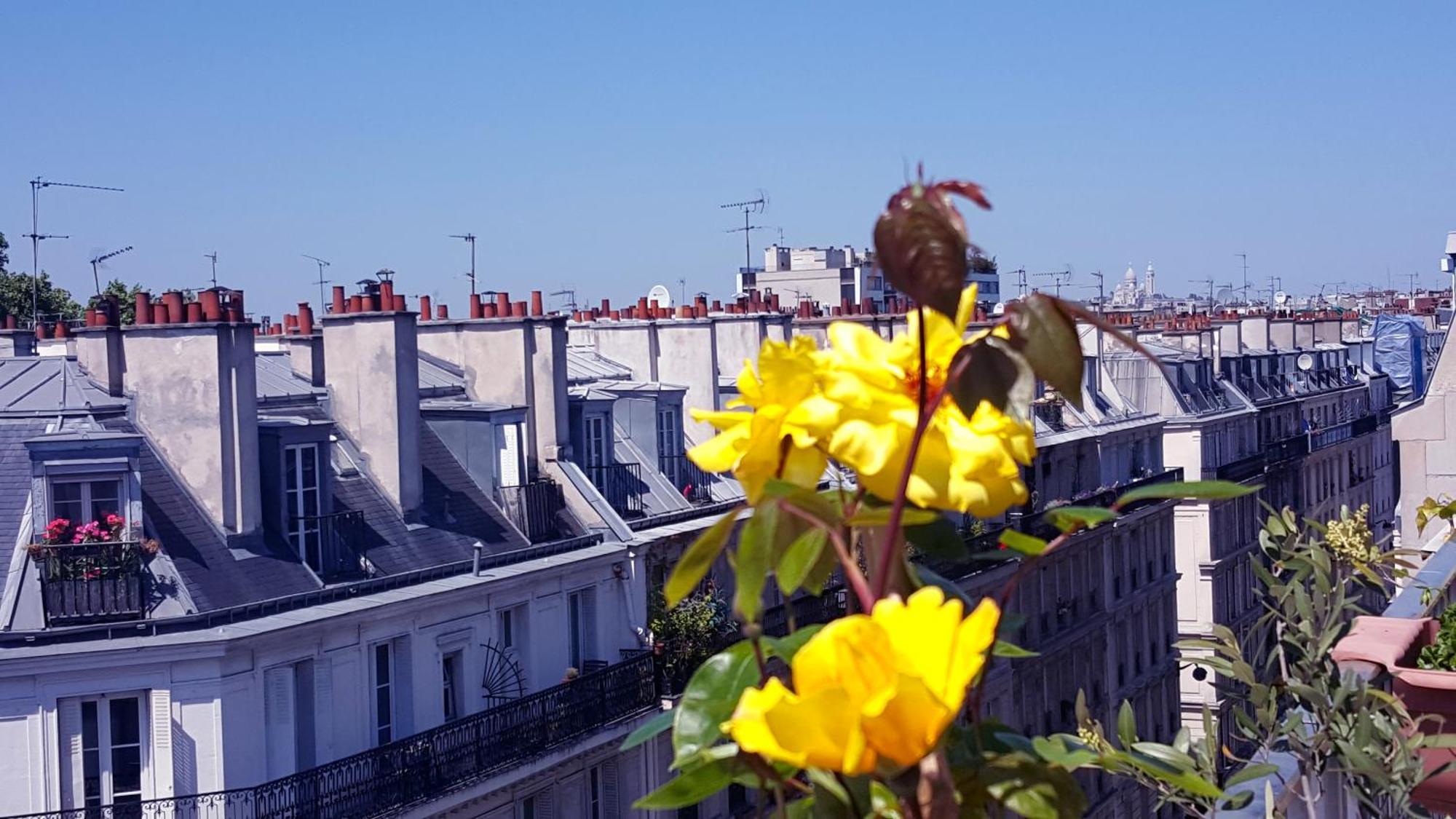 Floor & Terrace With View Appartement *