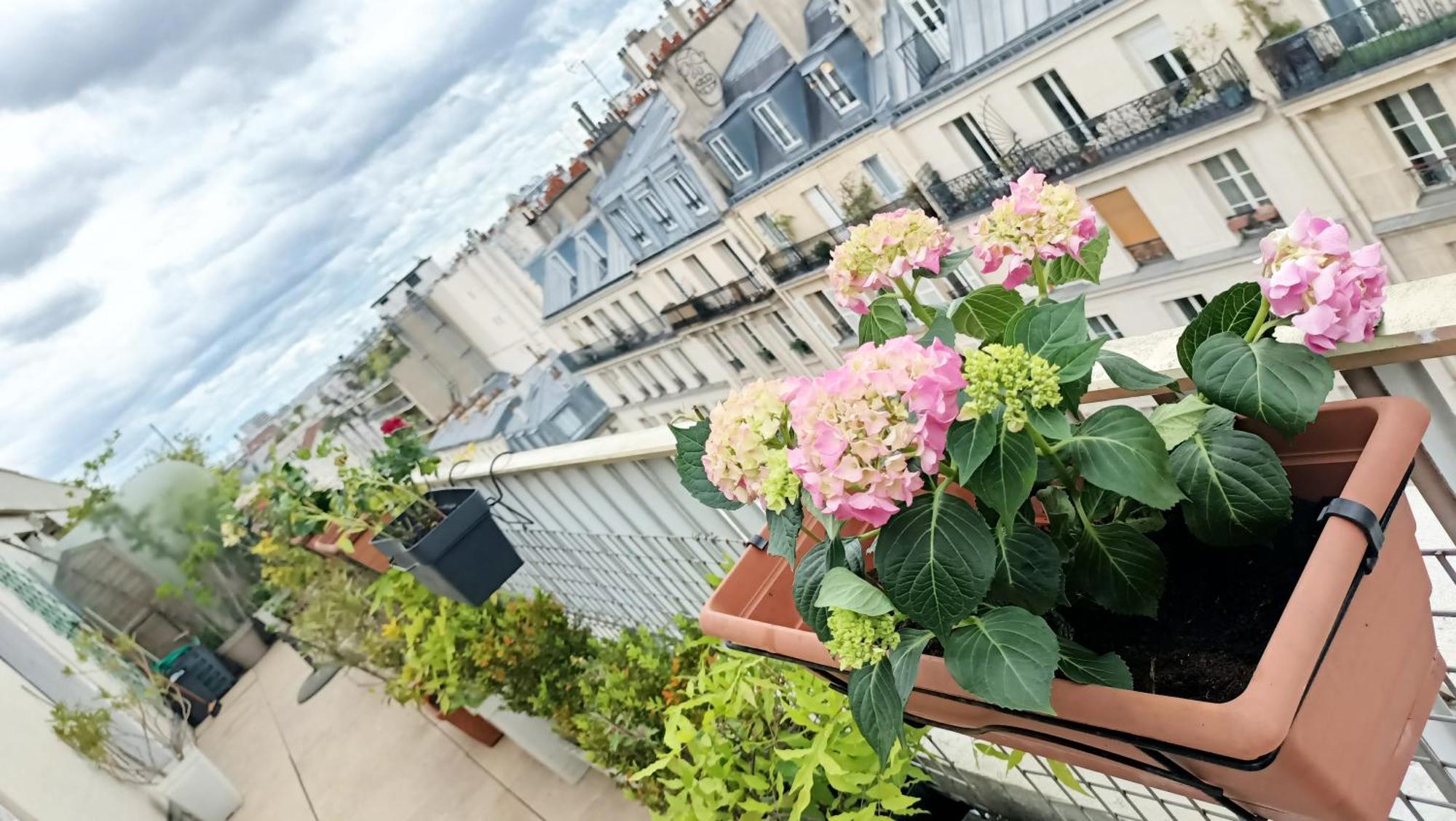 Floor & Terrace With View Appartement Parijs