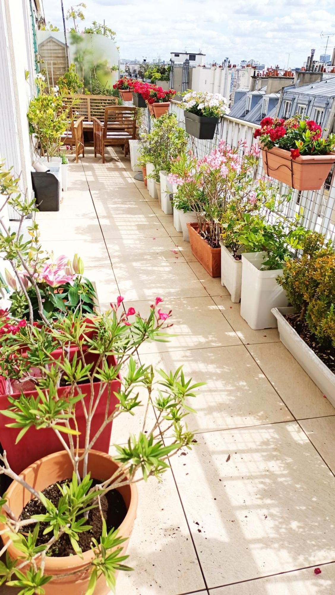 Floor & Terrace With View Appartement Parijs