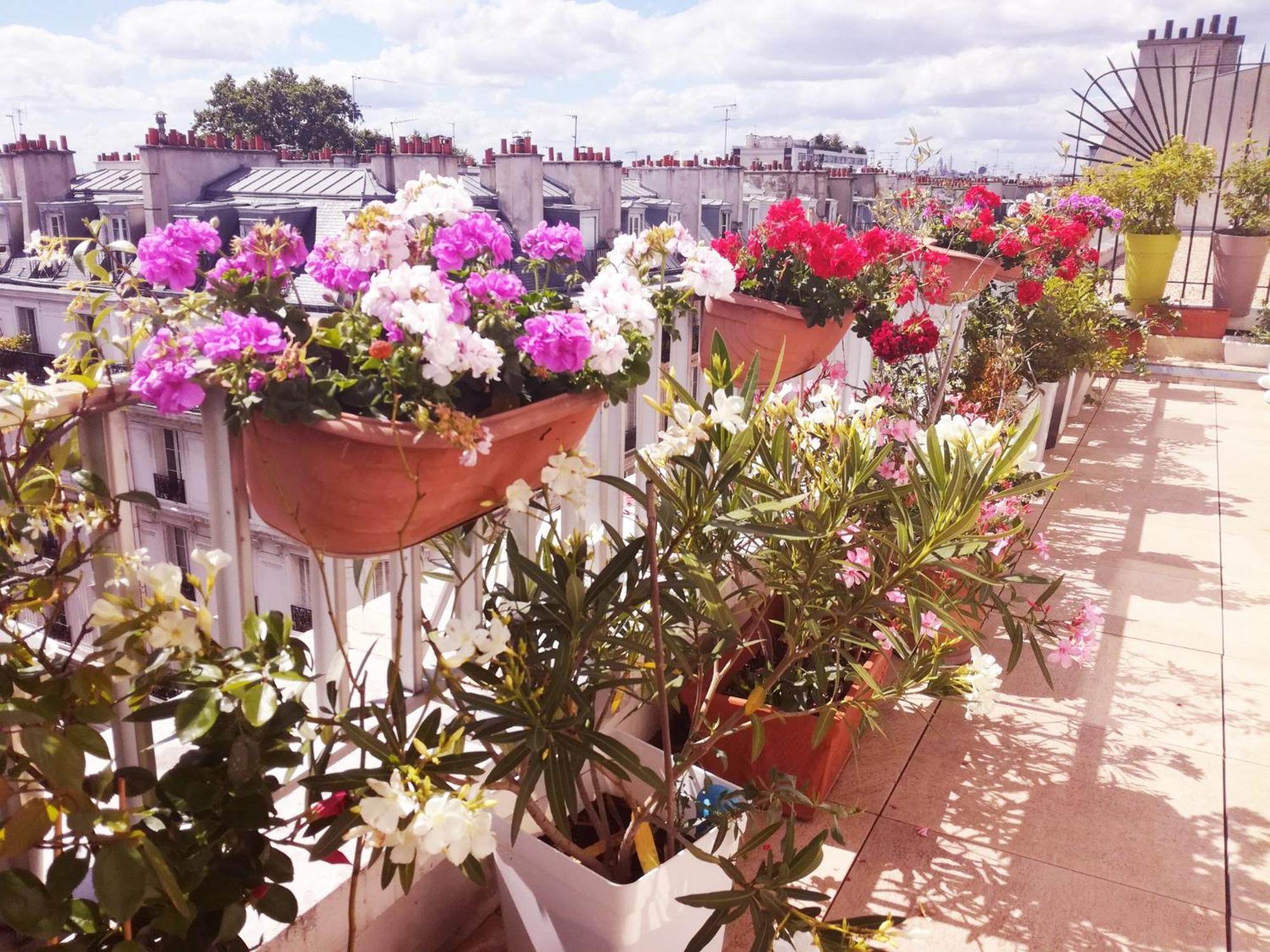 Floor & Terrace With View Appartement
